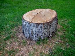 Best Lot and Land Clearing  in Peppermill Village, MD