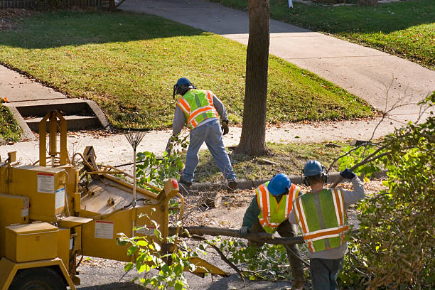 Best Arborist Consultation Services  in Peppermill Village, MD