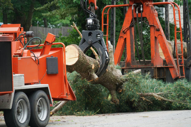 Best Emergency Tree Removal  in Peppermill Village, MD