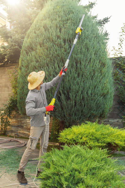 Best Tree Preservation Services  in Peppermill Village, MD