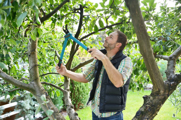 Best Soil Testing and Treatment  in Peppermill Village, MD